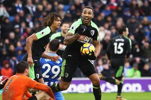 Bournemouth's Wilson grounds Brighton in pulsating clash