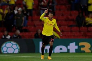 Watford star Etienne Capoue linked with move to Italy