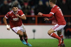 #Erichasadog: Lichaj names new dog after Arsenal following online campaign