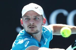 Goffin hopeful of 'fast recovery' after nasty eye injury