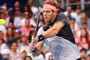 Del Potro, Raonic progress at Delray Beach
