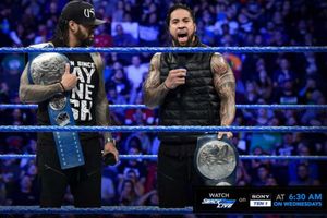 Now watch WWE Raw and Smackdown Live in Hindi