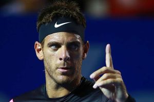 Del Potro and Anderson to meet in decider