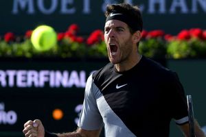 Indian Wells Masters: Del Potro demolishes Raonic to set up Federer final