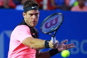 Del Potro, Zverev into Acapulco semis