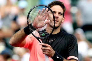 Del Potro wins 14th straight as Cilic falls in Miami
