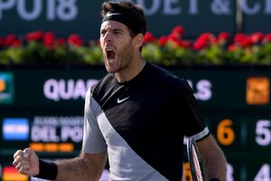 Del Potro to meet Raonic in semis