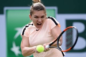 Halep, Kerber ease through as Wozniacki exits