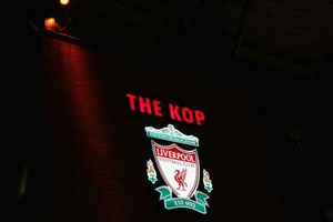 UEFA 'shocked by vile attack' on Liverpool fan