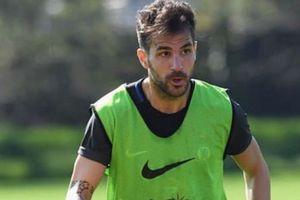 Fabregas: Wenger treated me like a son, but I love Mourinho