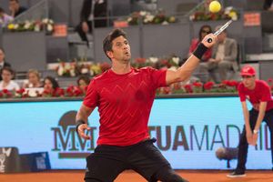 Madrid Open: Del Potro cruises through, landmark win for Verdasco