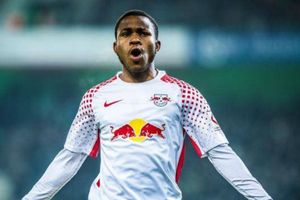 Young English stars look to Germany for a future