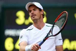 Murray return, Djokovic woes hog spotlight at Queen's