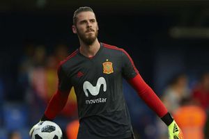 De Gea is a complete goalkeeper - Del Bosque