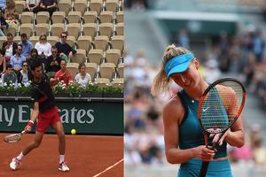 French Open: Svitolina stunned, Zverev edges Dzumhur; Djokovic battles through to round of 16