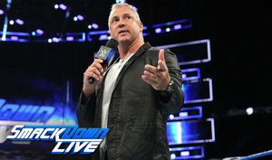 WWE Smackdown commissioner Shane McMahon undergoes surgery