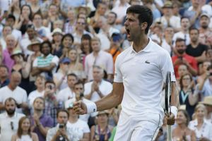 Novak Djokovic blasts 'whistling, coughing' Wimbledon crowd