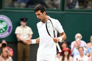 Wimbledon finalist Djokovic can win the next six majors, claims Krajicek