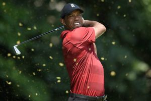 The Open: Beware! Tiger licks his lips at regaining that old feeling
