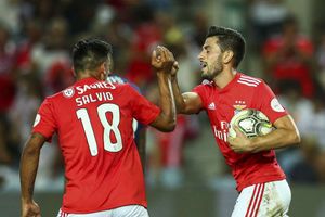 Benfica, PSV and Red Star reach Champions League group stage