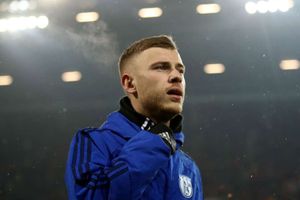 Crystal Palace sign Germany international Max Meyer