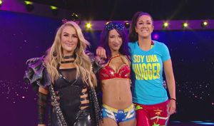 Is Sasha Banks unhappy with the WWE after recent injury?