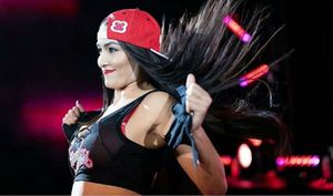 WWE star Nikki Bella challenges the Kardashians