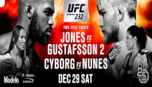 UFC Ends 2018 With Two Massive Title Fights