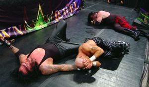 Update on Triple H injury and Shawn Michaels future after WWE Crown Jewel