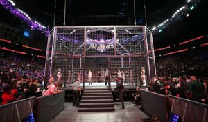 WWE to host Elimination Chamber and Fastlane before Wrestlemania 35