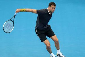 Dimitrov up and running in Brisbane