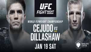 UFC Kicks Off 2019 with Flyweight Championship Superfight