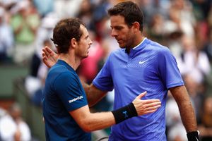 Del Potro urges Murray to 'keep fighting'