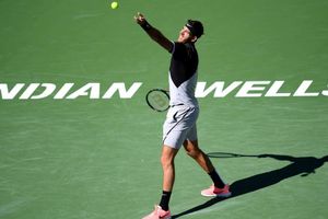 Del Potro won't defend Indian Wells title due to injury