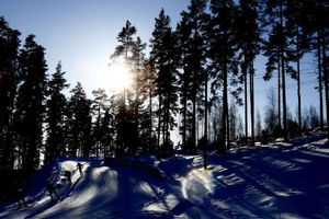 Five cross-country athletes arrested in doping investigation