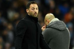 Schalke sack Tedesco after dismal run
