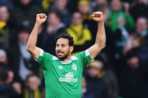 Werder Bremen 2 Borussia Dortmund 2: Pizarro strike tees up Bayern for Bundesliga title