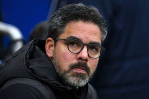 Schalke announce David Wagner as new head coach from 2019-20