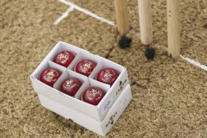 England revert to 2017-18 Dukes ball for Test series against Ireland, Australia