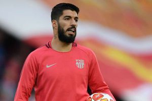 Suarez likely to be out of action up to six weeks