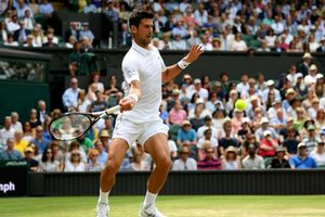 Ruthless Djokovic brushes Goffin aside to reach semi-finals