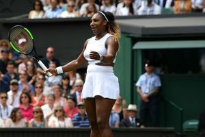 I was a deer in the headlights - Serena congratulates outstanding Halep