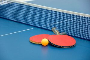 Dejan Papic appointed India's table tennis coach, will join in August