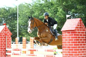 Equestrian Premier League: EIRS’ Basavaraju wins three categories in August