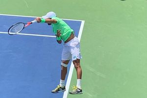 Divij Sharan is now Asia's top-ranked doubles player