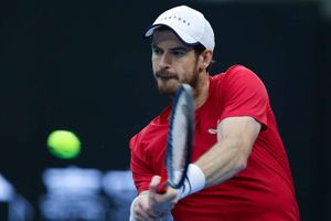 Murray relishing reunion with Wawrinka in Antwerp final