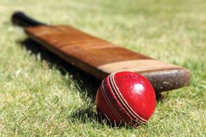 Ten ducks: When no batsman of a team scored a run