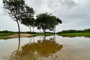 Mayakoba Golf Classic to start on November 15 after heavy rain