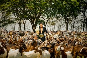 UFC 245: The G.O.A.T Amanda Nunes ready for title defence