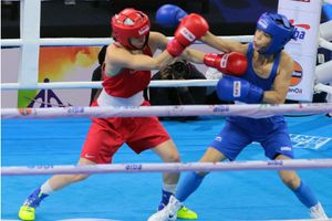 Big Bout Indian Boxing League moves to Delhi with a double-header on Saturday